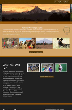 Tours & Travel Web design company kenya