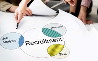 custom web developers for human resource softwares