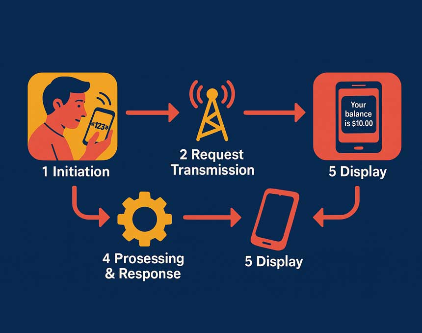 how our custom USSD applications works